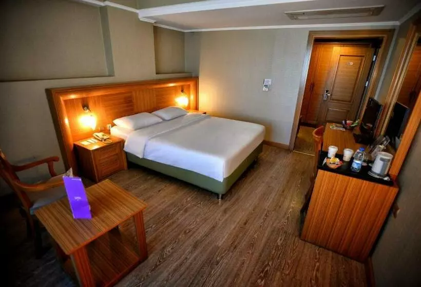 酒店 Anemon Antakya