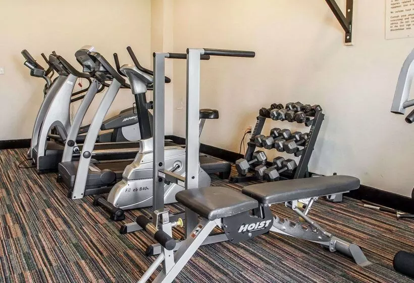 ホテル Comfort Inn & Suites