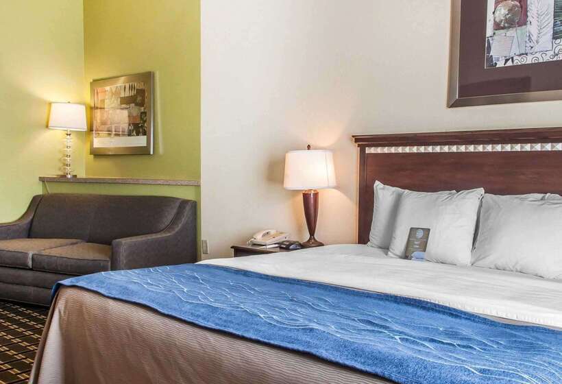 Отель Comfort Inn & Suites