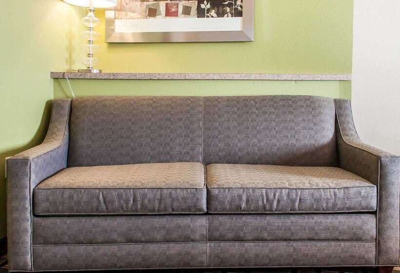 Отель Comfort Inn & Suites