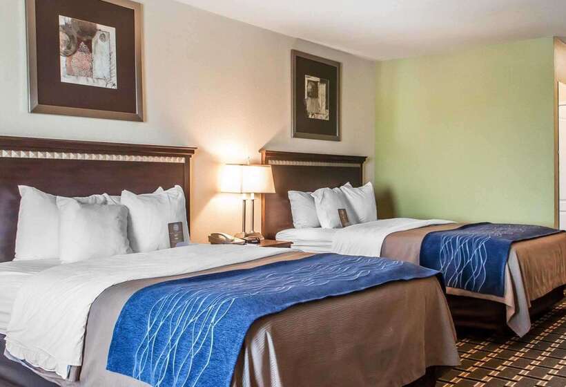 Отель Comfort Inn & Suites