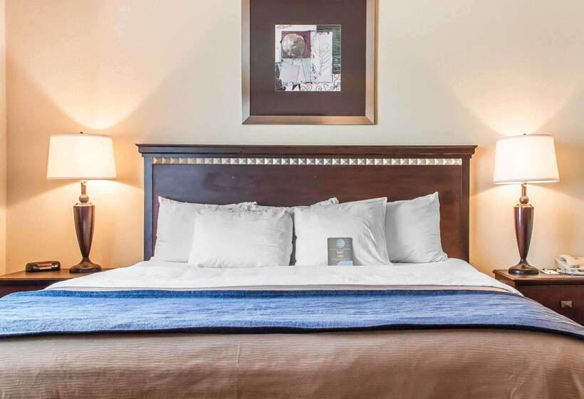 Отель Comfort Inn & Suites