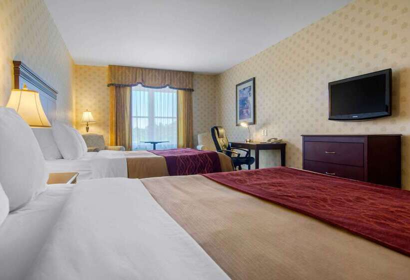 ホテル Comfort Inn & Suites