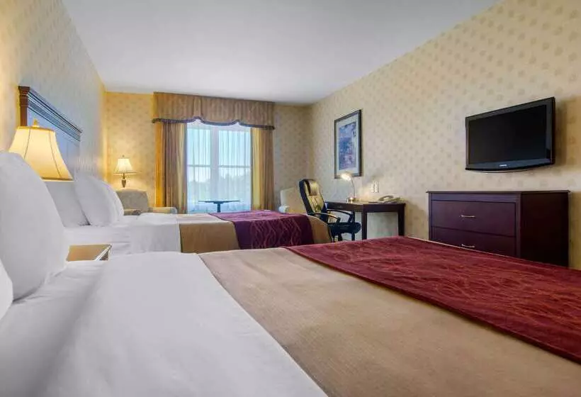 酒店 Comfort Inn & Suites