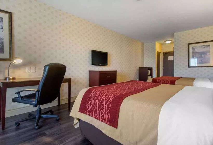 酒店 Comfort Inn & Suites