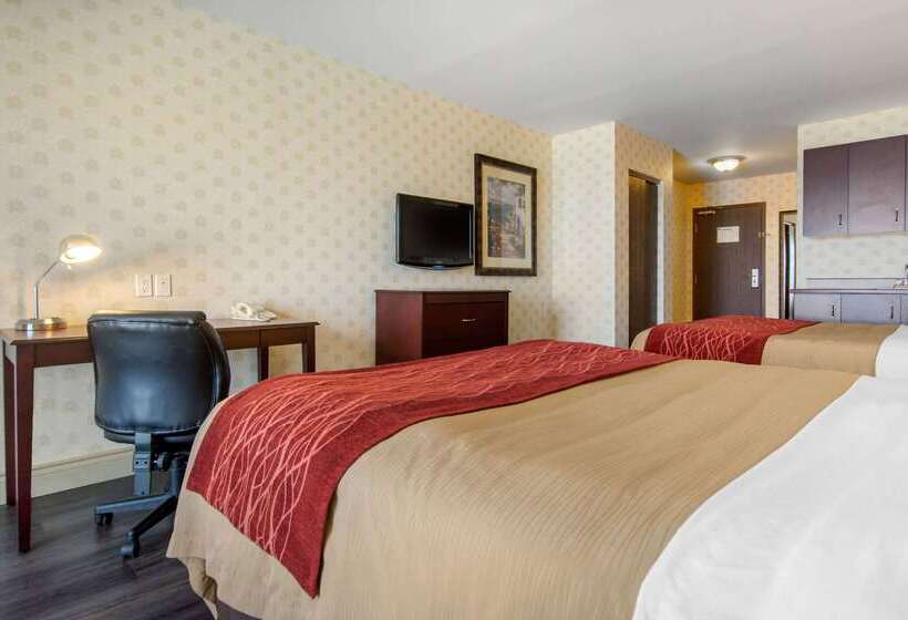 ホテル Comfort Inn & Suites