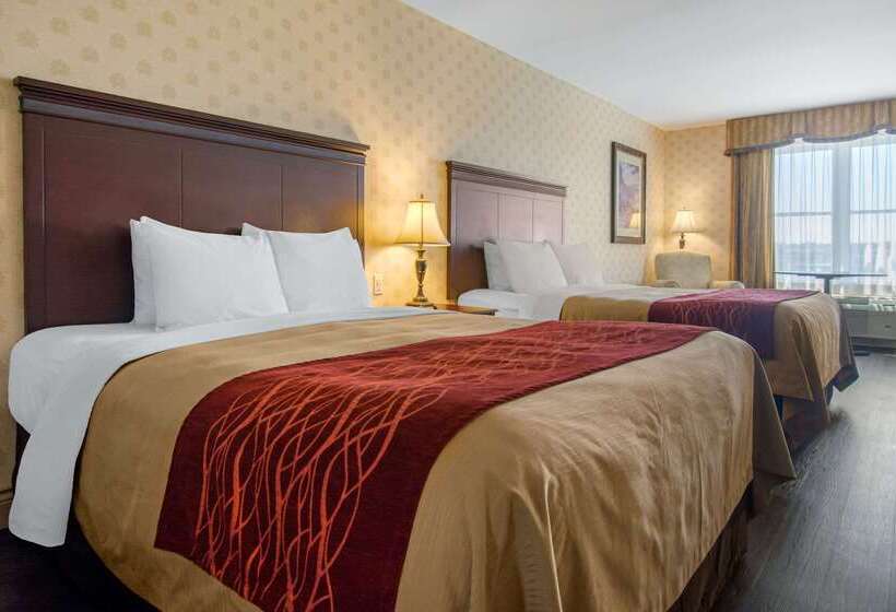 ホテル Comfort Inn & Suites