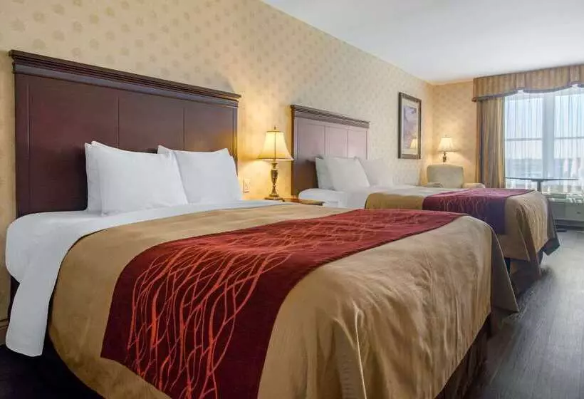 酒店 Comfort Inn & Suites