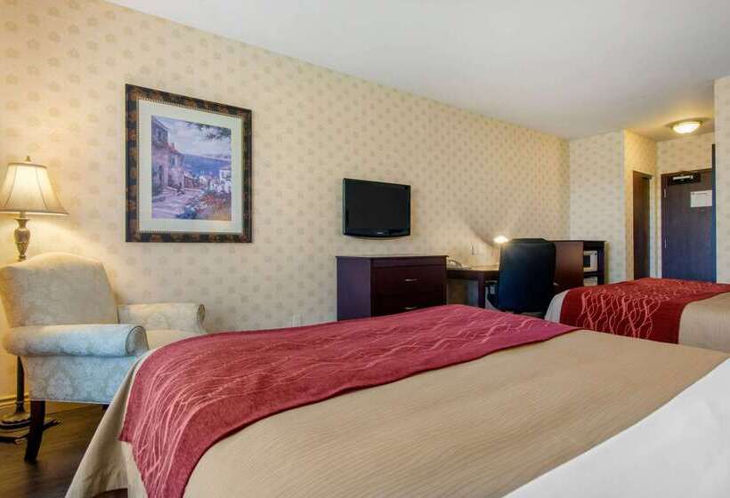 ホテル Comfort Inn & Suites