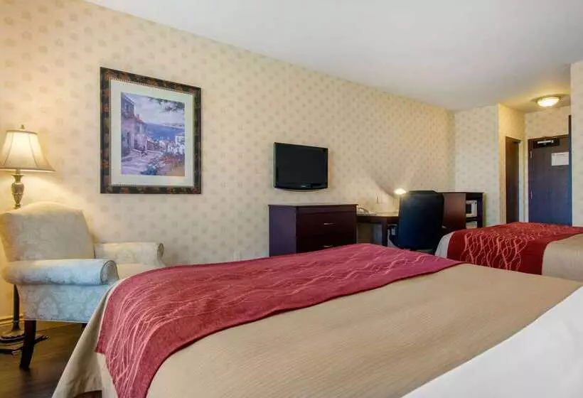 酒店 Comfort Inn & Suites