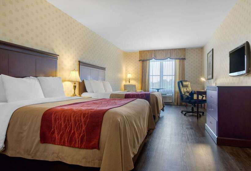 ホテル Comfort Inn & Suites