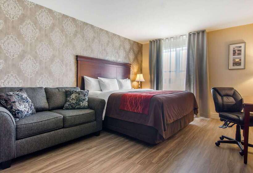 ホテル Comfort Inn & Suites