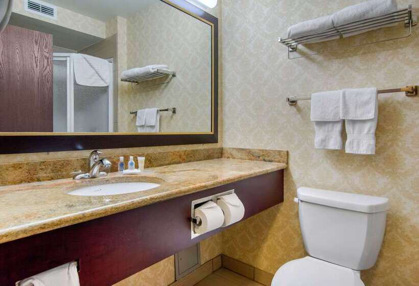 ホテル Comfort Inn & Suites