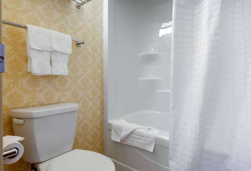 ホテル Comfort Inn & Suites