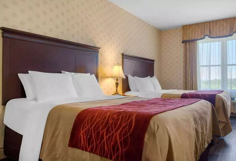 酒店 Comfort Inn & Suites