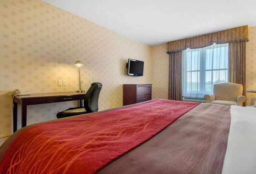 酒店 Comfort Inn & Suites