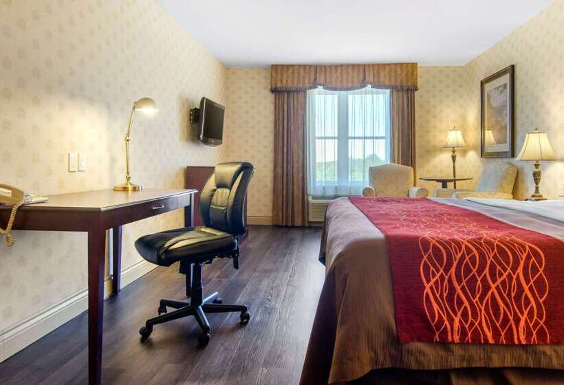 ホテル Comfort Inn & Suites