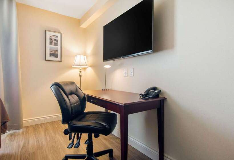 ホテル Comfort Inn & Suites