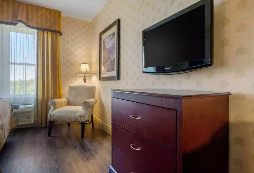 酒店 Comfort Inn & Suites