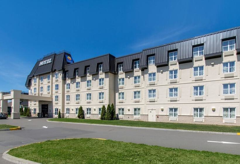 ホテル Comfort Inn & Suites