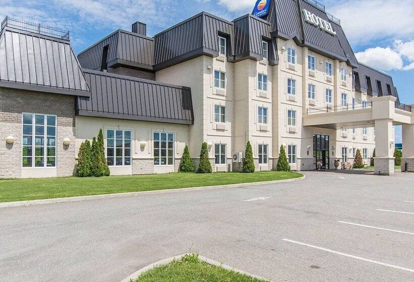 ホテル Comfort Inn & Suites