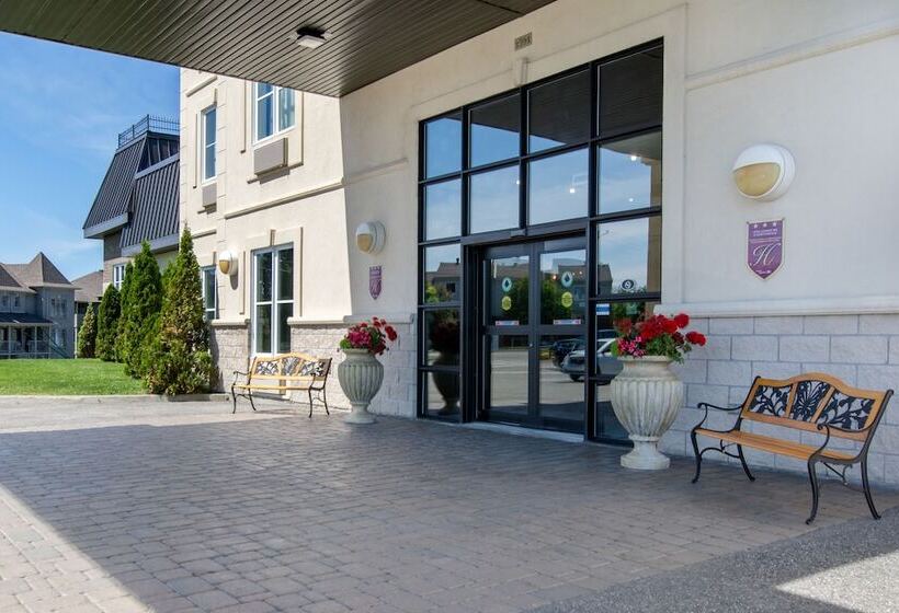 ホテル Comfort Inn & Suites