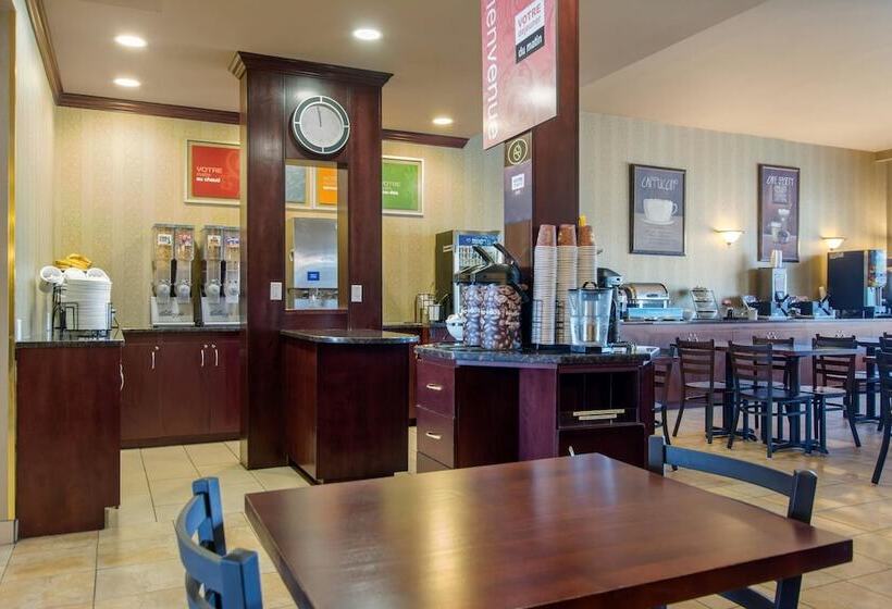 ホテル Comfort Inn & Suites