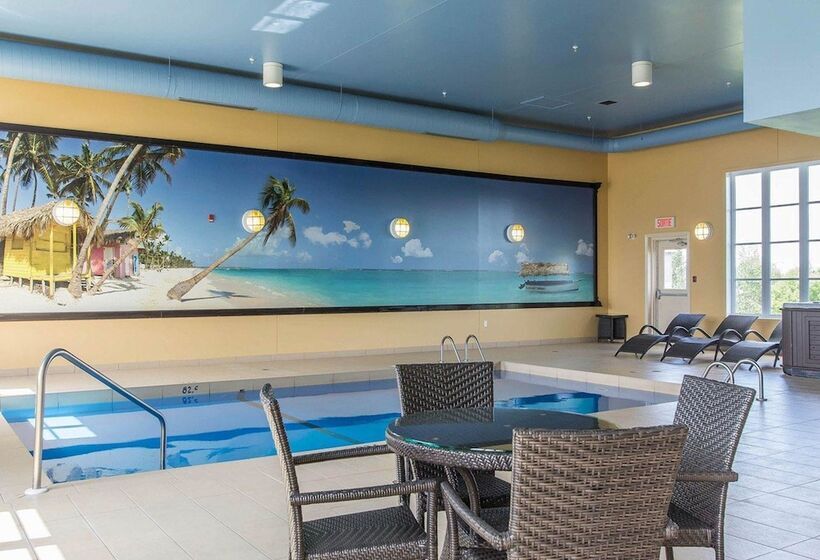 ホテル Comfort Inn & Suites