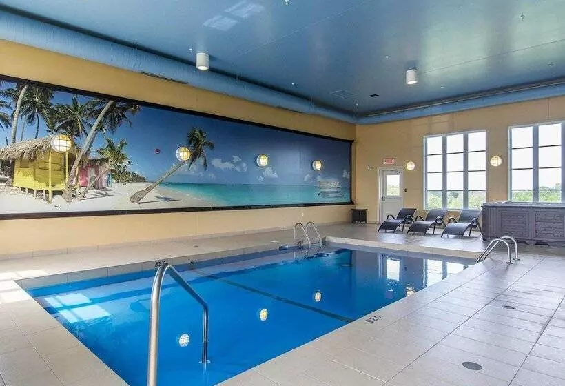 酒店 Comfort Inn & Suites