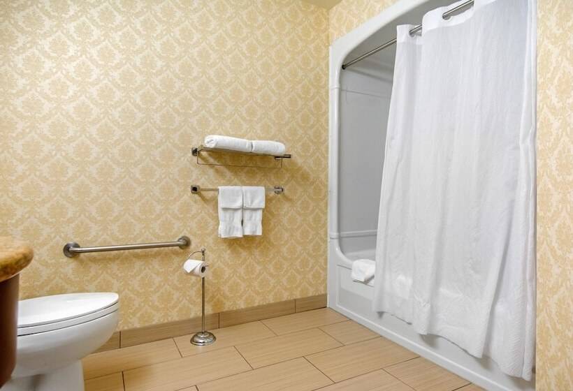 ホテル Comfort Inn & Suites