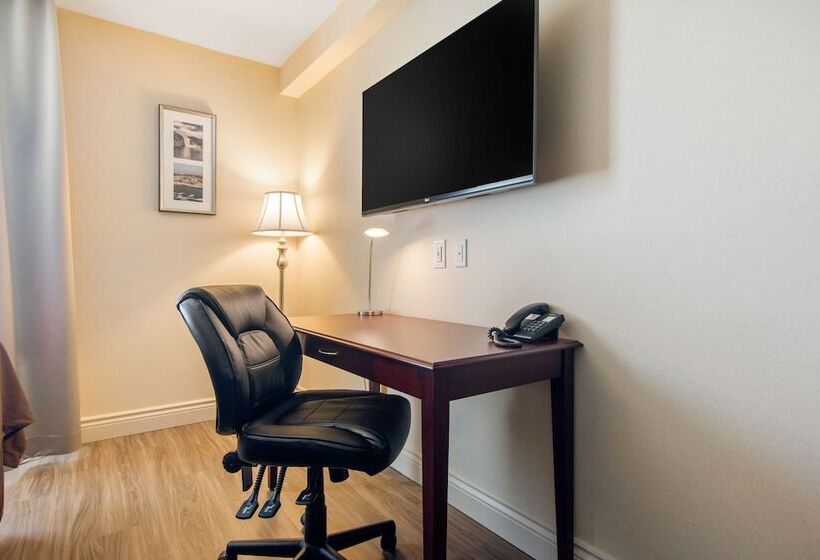 ホテル Comfort Inn & Suites