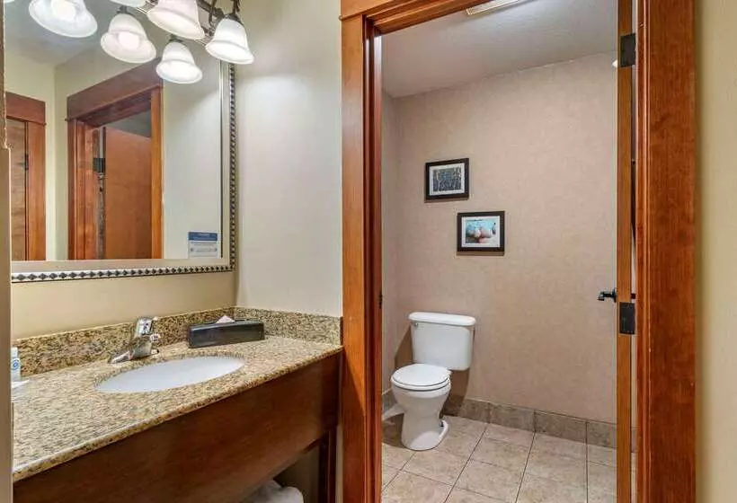 בית מלון כפרי Comfort Inn & Suites