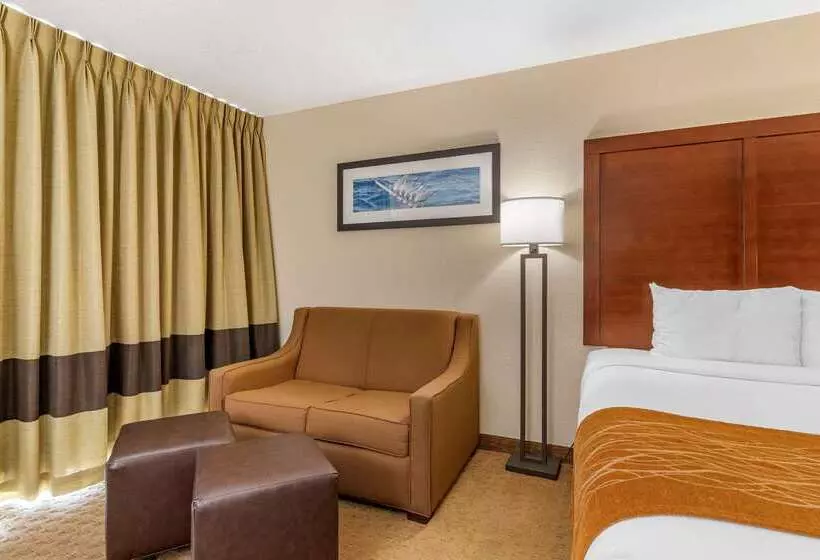 בית מלון כפרי Comfort Inn & Suites