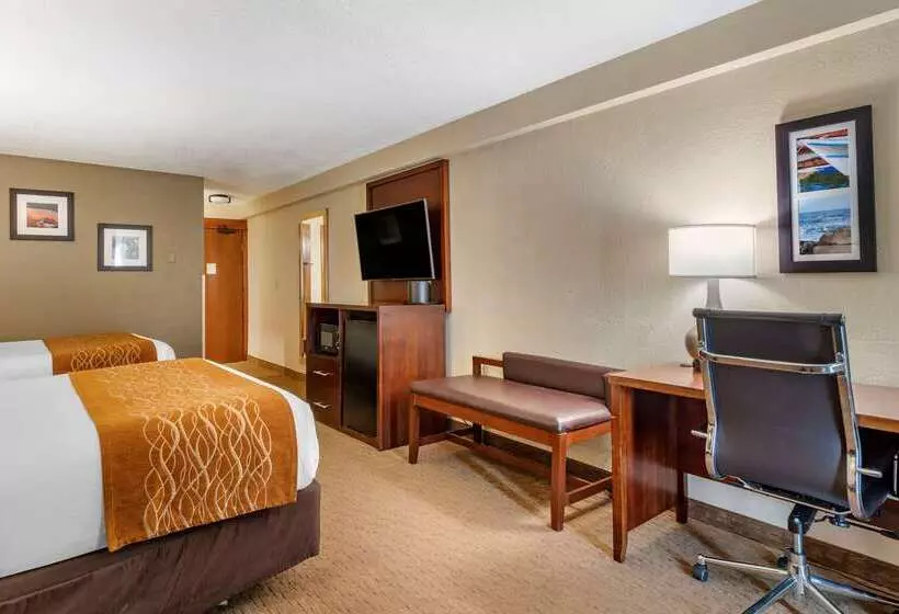 בית מלון כפרי Comfort Inn & Suites