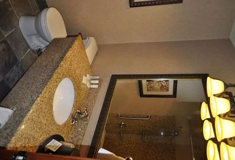 בית מלון כפרי Comfort Inn & Suites