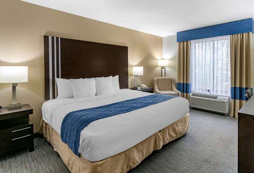 فندق Comfort Inn