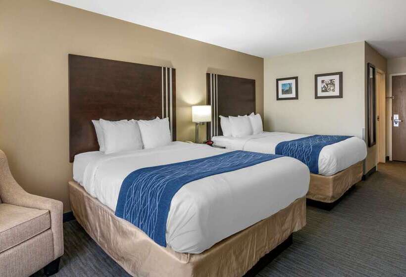 فندق Comfort Inn