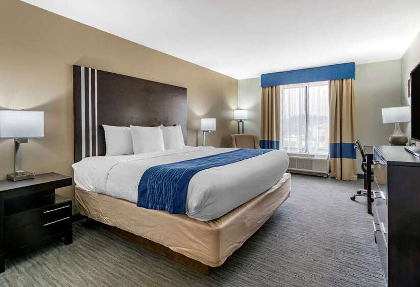 فندق Comfort Inn