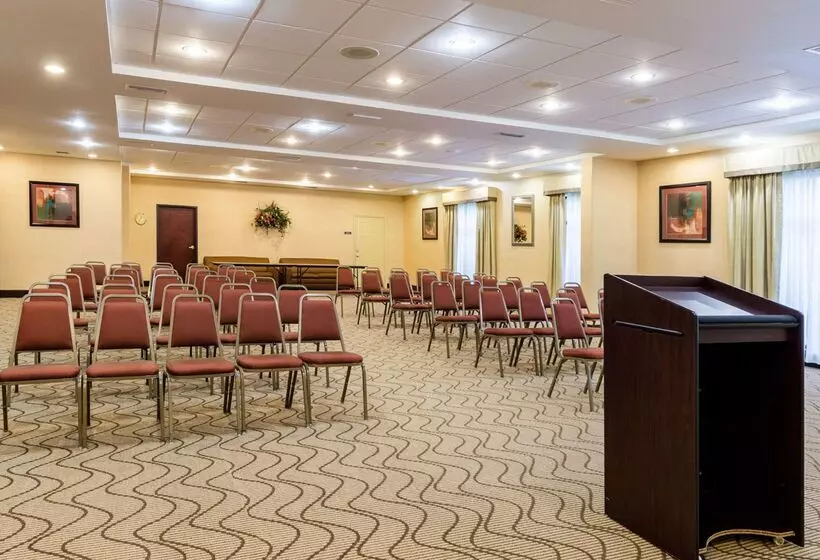 Hotel Comfort Suites Near Nasa  Clear Lake