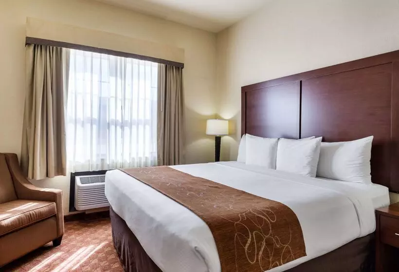 Hotel Comfort Suites Near Nasa  Clear Lake