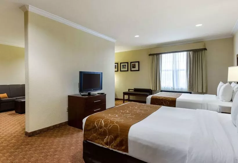 Hotel Comfort Suites Near Nasa  Clear Lake