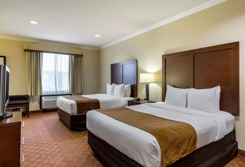 Hotel Comfort Suites Near Nasa  Clear Lake