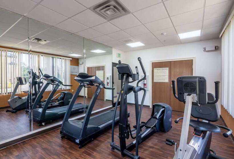 فندق Comfort Suites