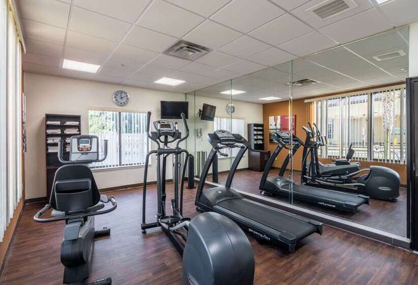 فندق Comfort Suites