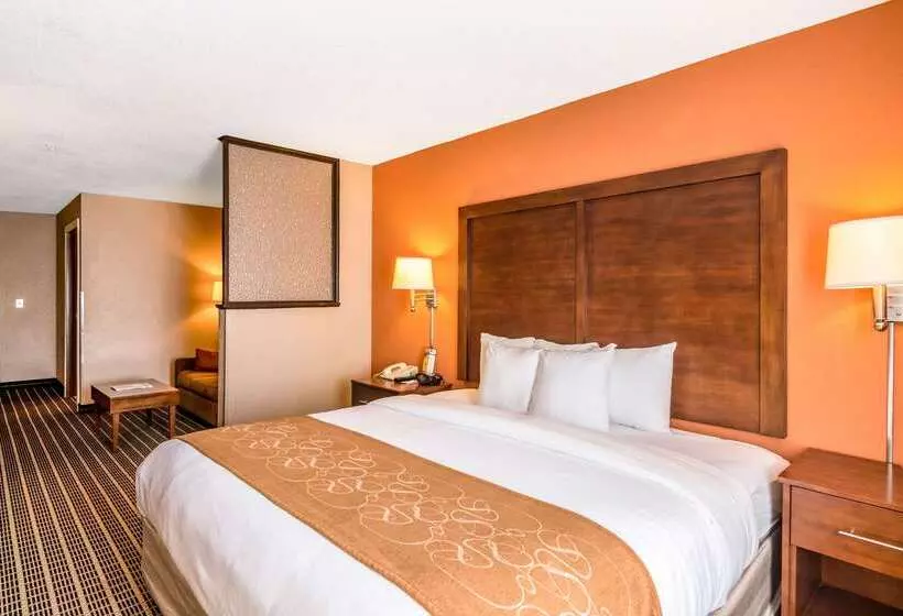 호텔 Comfort Suites