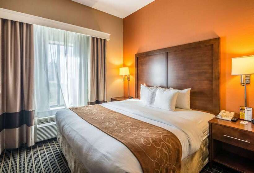 فندق Comfort Suites