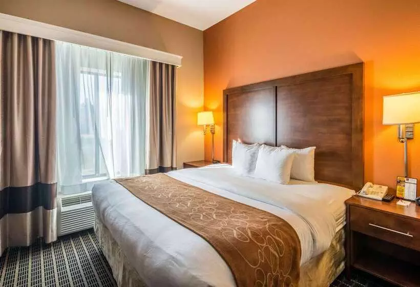 호텔 Comfort Suites