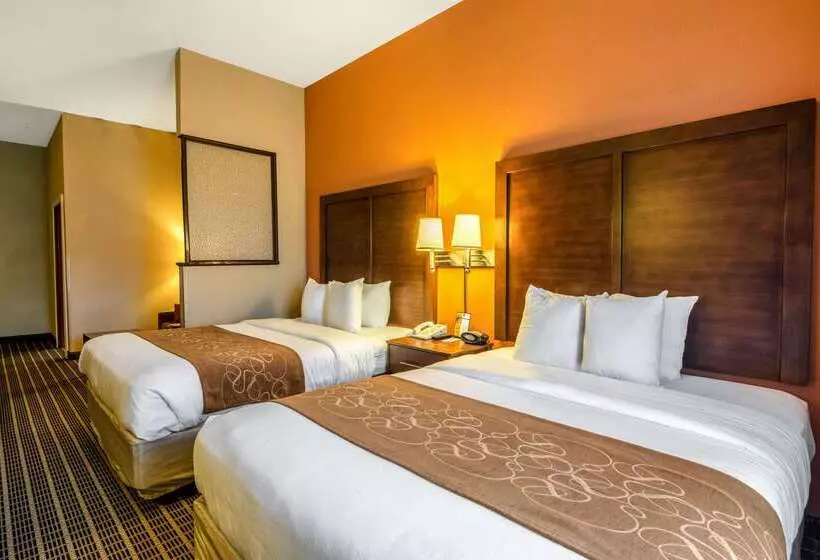 호텔 Comfort Suites