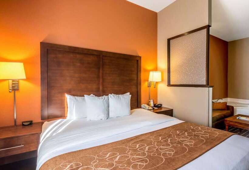 فندق Comfort Suites