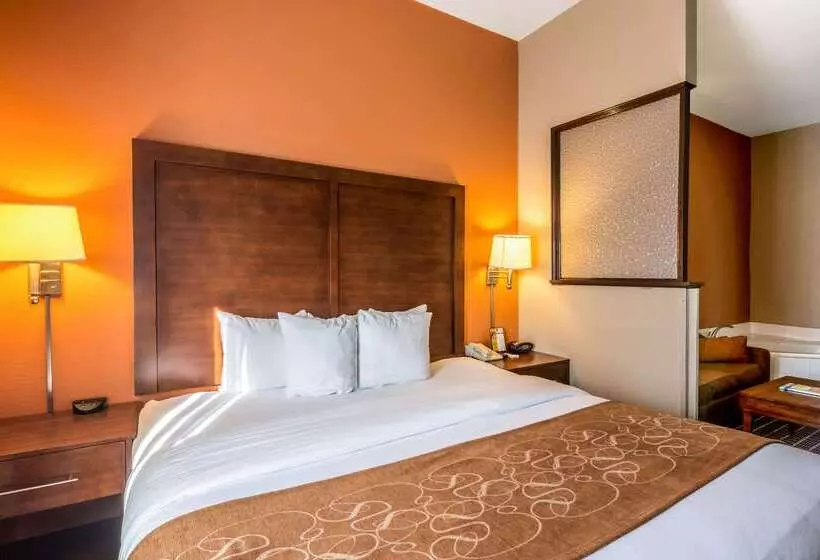 호텔 Comfort Suites